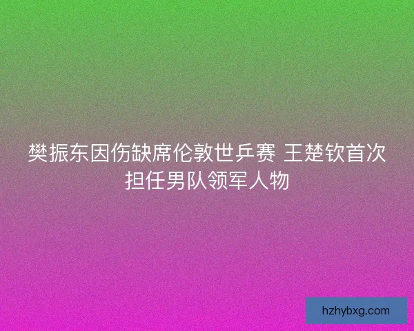 樊振东因伤缺席伦敦世乒赛 王楚钦首次担任男队领军人物