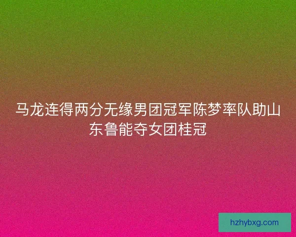 马龙连得两分无缘男团冠军陈梦率队助山东鲁能夺女团桂冠